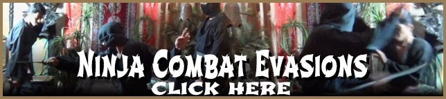 Gyokku Ninja Combat Evasions - Learn how to Evade Attacks