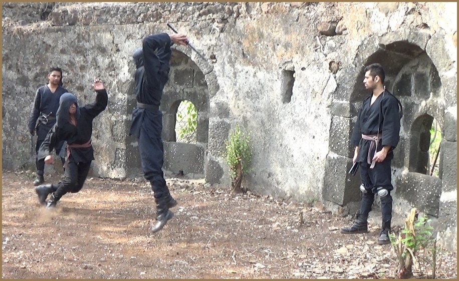 Ninjas in Combat