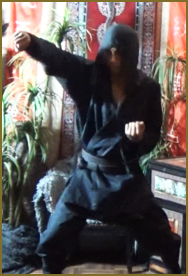 ninja mawashi uchi roundhouse strike