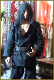 ninja stealth master